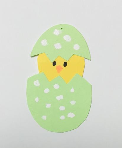 Green-egg-hatched-chick-IMG 3733