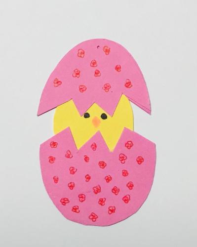 Pink-egg-hatched-chick-IMG 3732